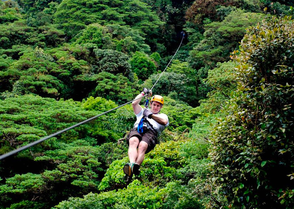 Zipline and Canopy